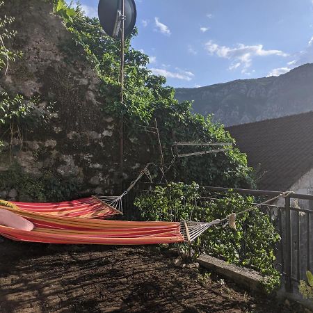 Best View! Rooftop With Garden - Old Town Nr404 Kotor Exterior photo